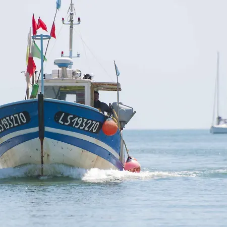 T2 Aux Sables - Face Mer, Proche Plage&commerces, Balcon, Animal Admis - Fr-1-92-629 Les Sables-dʼOlonne