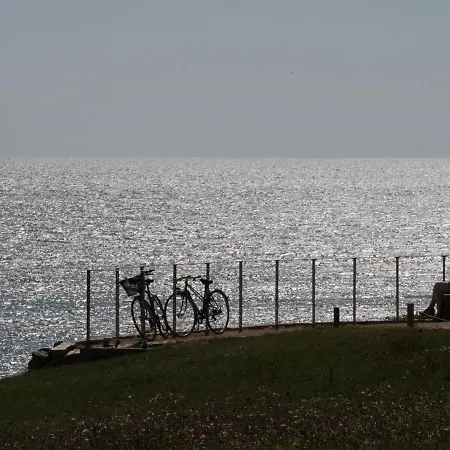 Apartamento T2 Aux Sables - Face Mer, Proche Plage&commerces, Balcon, Animal Admis - Fr-1-92-629