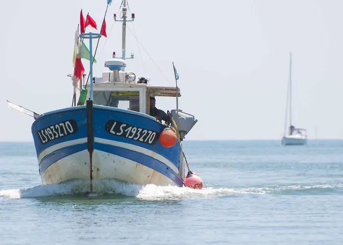 T2 Agreable Aux Sables - Face Mer, Proche & Commerces, Balcon, Animal Admis - Fr-1-92-629 Les Sables-dʼOlonne