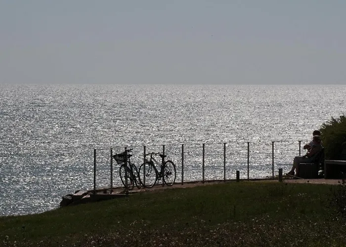 Apartamento T2 Agreable Aux Sables - Face Mer, Proche & Commerces, Balcon, Animal Admis - Fr-1-92-629